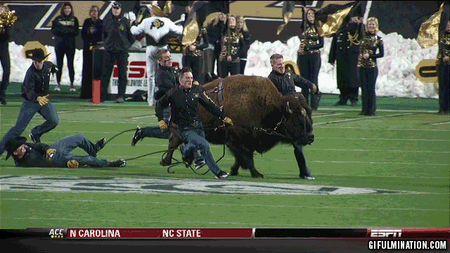 ralphie2.gif