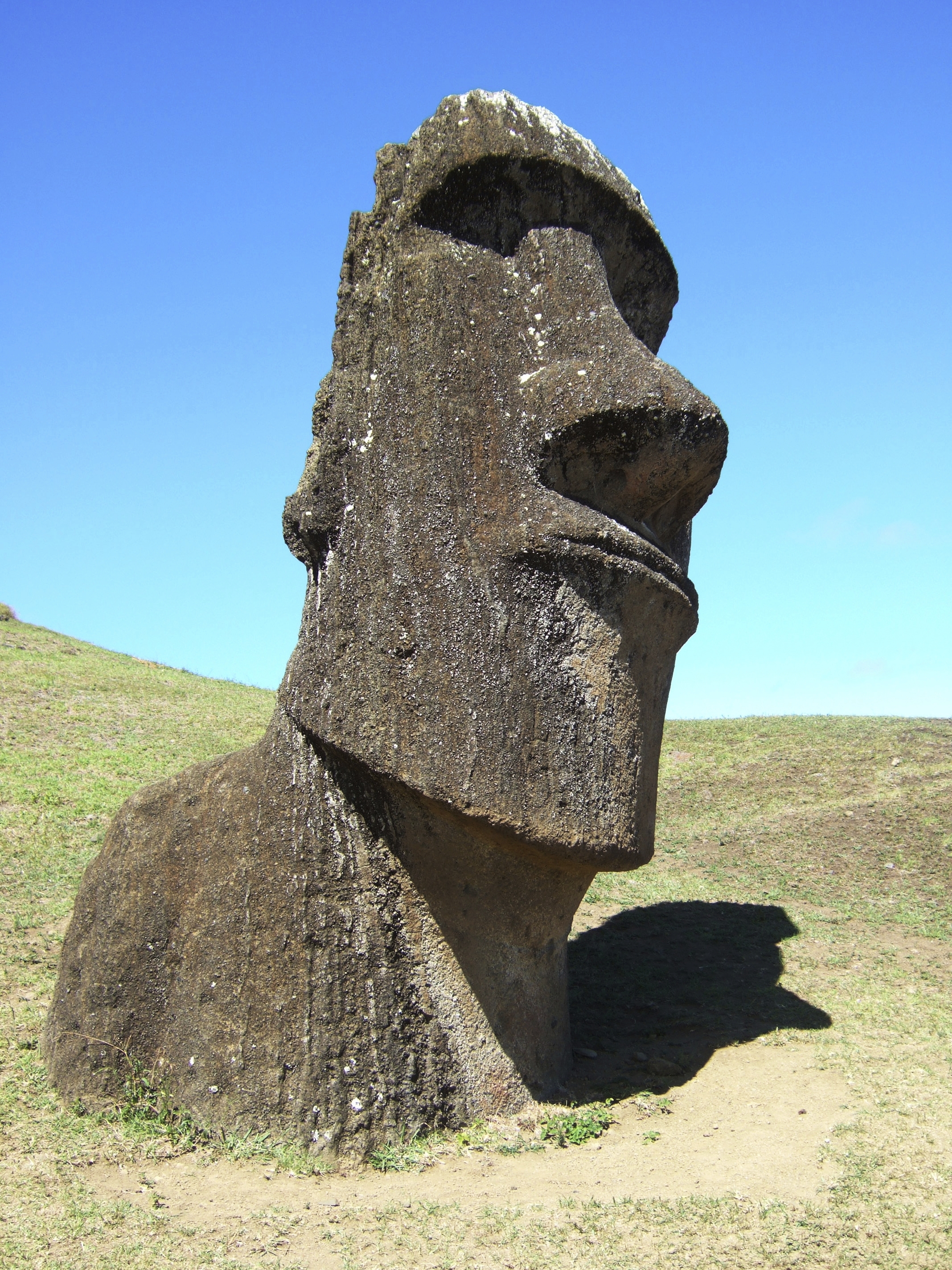 easterislandlarge-head_Large.jpg