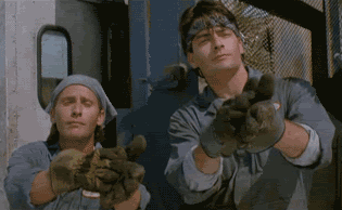 KsgLFgQp7Elj2.gif