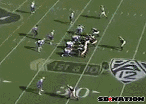 huskies1_medium.gif