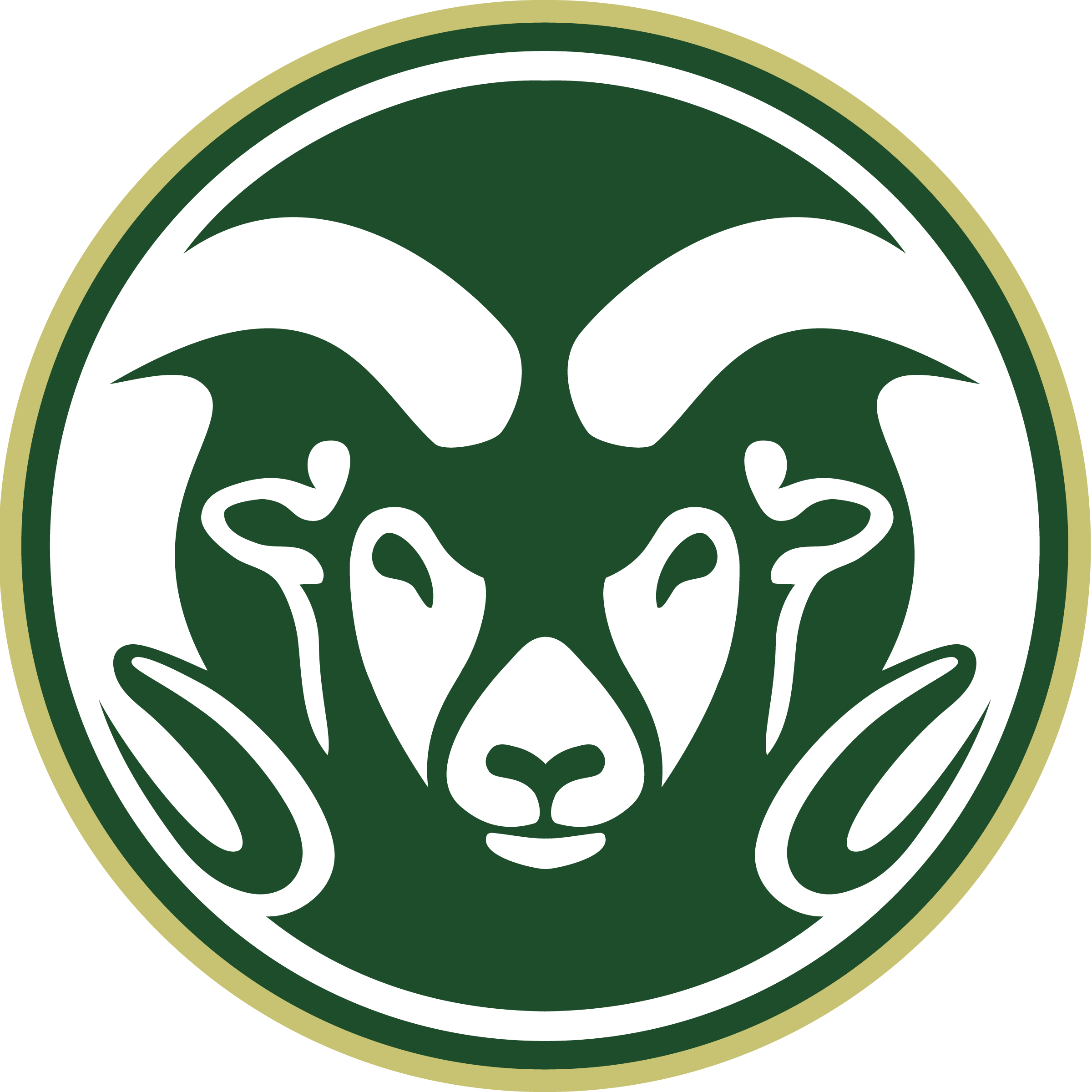 Colorado State