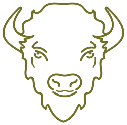 buffsblog.com