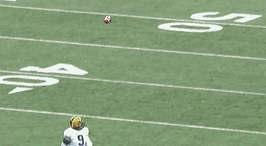 pi.0.gif