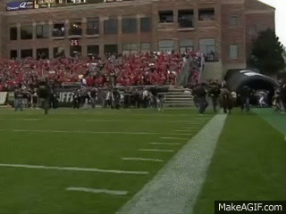 4_W8dH.gif