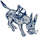 minesathletics.com
