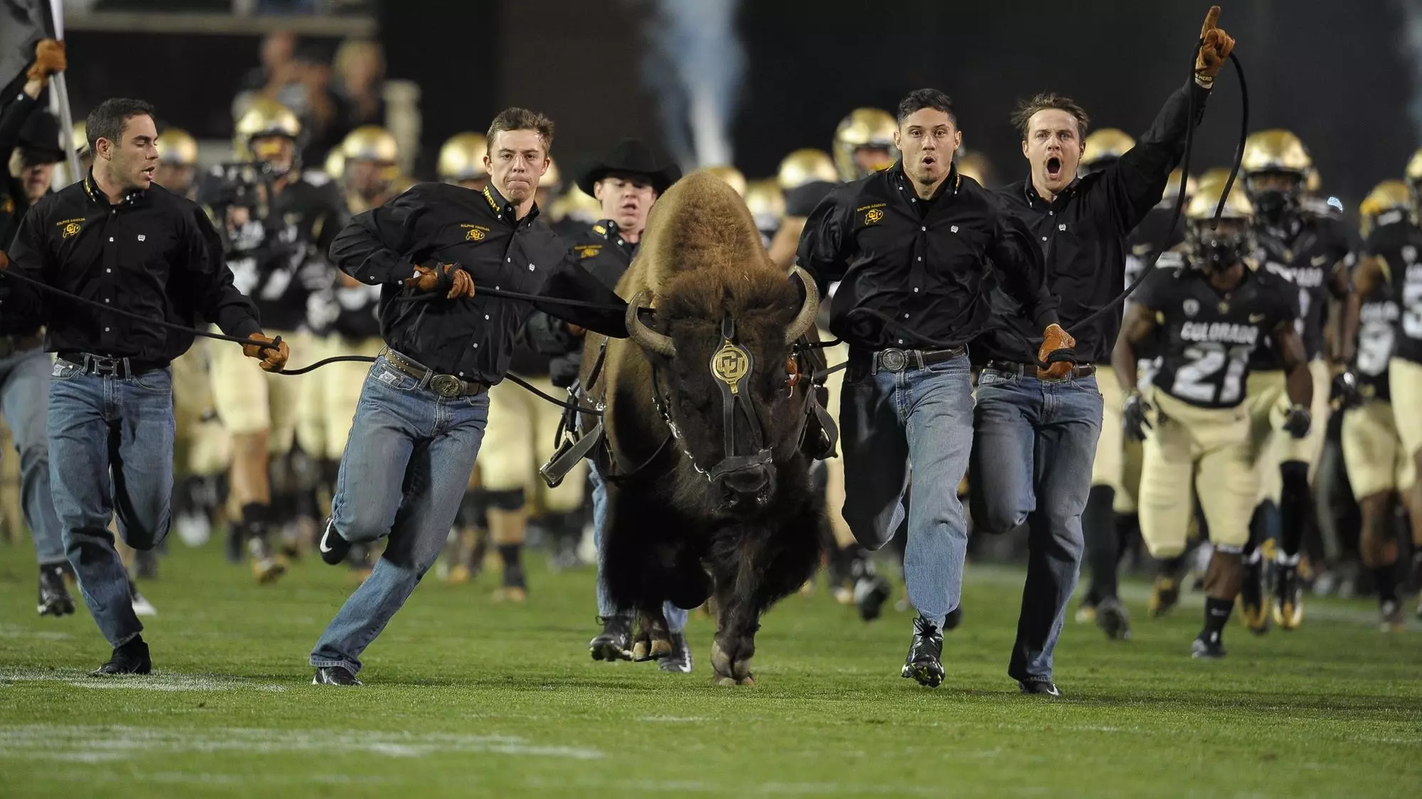 Ralphie_V_2016_UCLA_Rupert_Berrington_2_.jpg