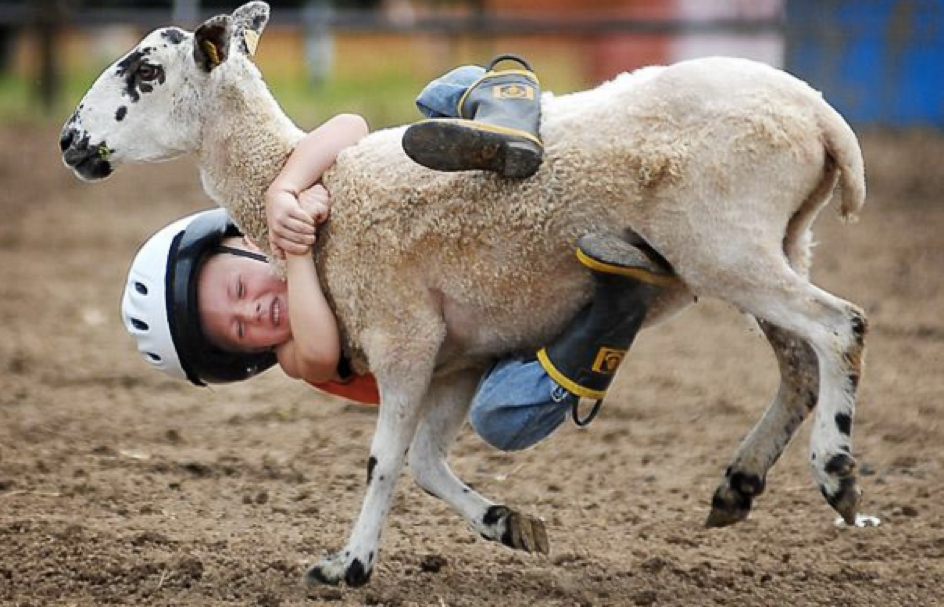 GoatRodeo.png