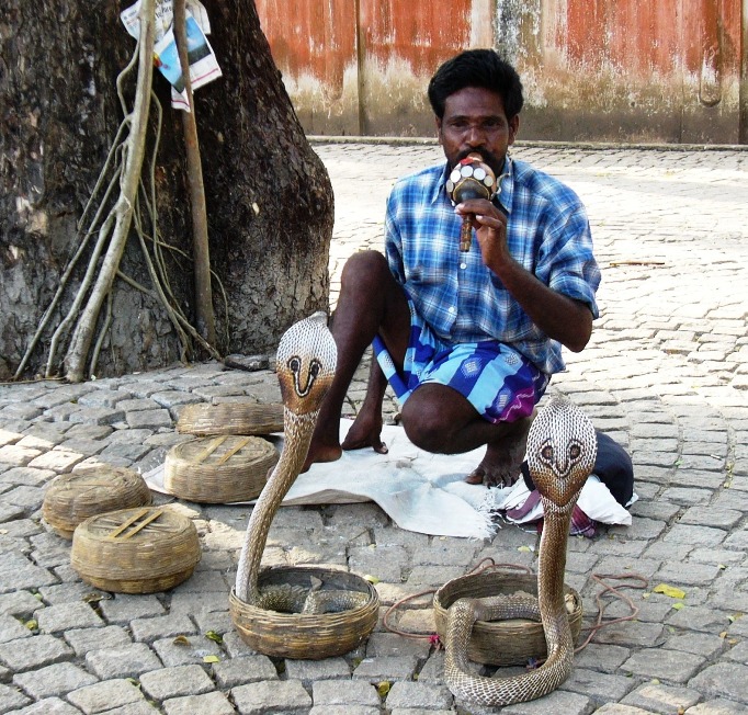 snakecharmer.jpg