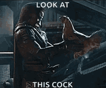 cock-look-at-this.gif
