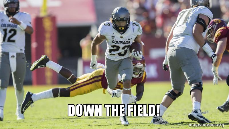 down-the-field.jpg