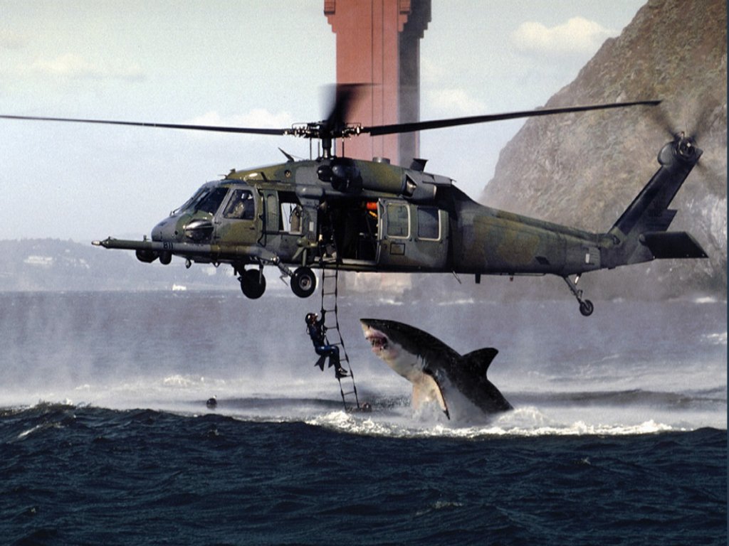 shark-attack-viral-videos-874233_1024_768.jpg
