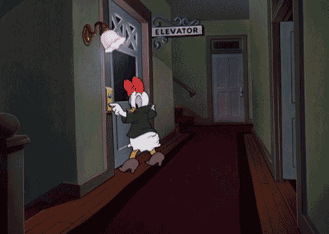 tumblr_lmfsnfblOO1qhcrb0o1_500.gif