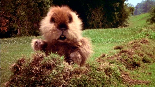 caddyshack-06.jpg