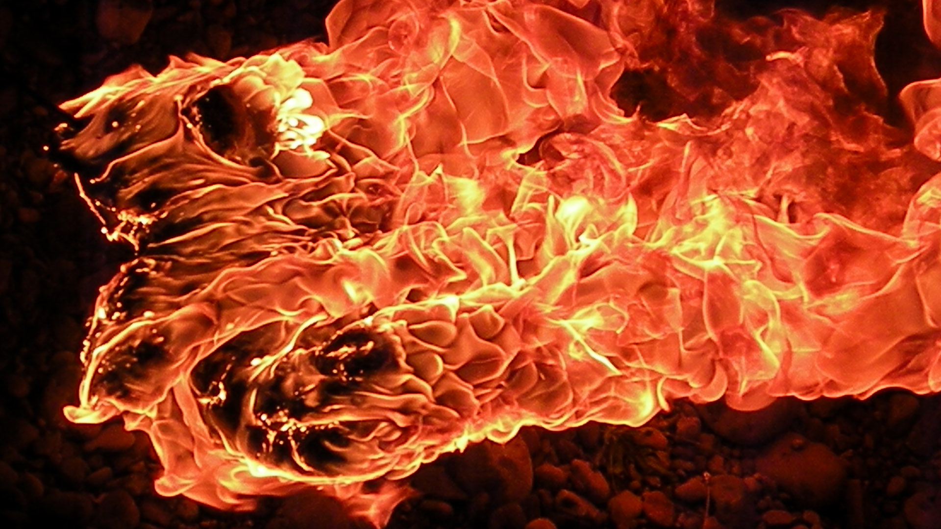 teddy_bear_on_fire_by_frostyvamp-d3aruhk.jpg