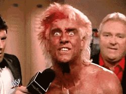 ric-flair.gif