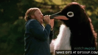 afuWKVZX7lId2.gif