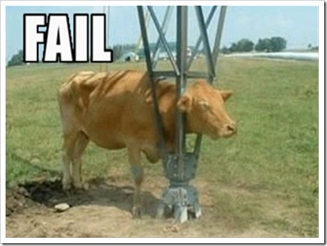 cow+fail.jpg