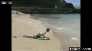 MLmWfi.gif
