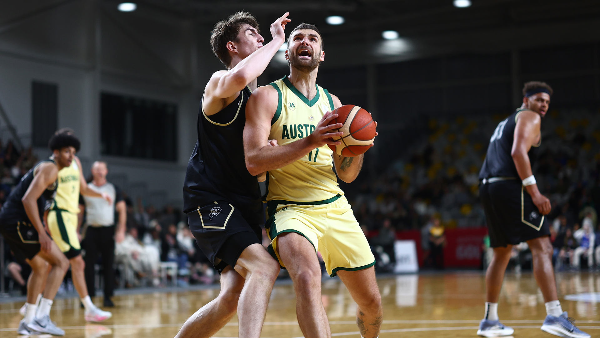 nbl.com.au