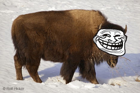 tumblr_m276o2tKBH1r3myx9.gif