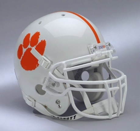 white-paw-helmet.jpeg