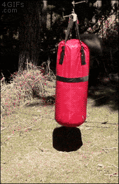 tumblr_nfatpoDAF41s4pqc5o1_250.gif