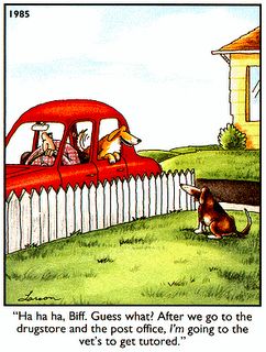 2a48de5f1230b8bb5000768f7ceeb870--dog-cartoons-gary-larson.jpg