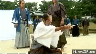 1830a706707cb3666907ecc5310dc008fc1ae2f7_hq.gif